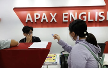 Cổ phiếu Apax Holdings (IBC) “quay xe” tăng trần 6 phiên liên tiếp, cổ đông lớn tiếp tục bị bán giải chấp thêm hàng triệu đơn vị