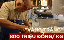 Loại thịt này quý đến mức được gọi là "vàng trắng" tại Nhật: Giá hơn 800 triệu đồng/kg, không phải cứ giàu là mua được
