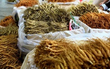 Mẹ Việt ở Hàn Quốc kể chuyện đi chợ nhân sâm lớn nhất xứ sở kim chi, hàng bày la liệt như khoai lang nhiều đến choáng ngợp