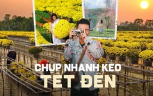 Những địa điểm đẹp ở Việt Nam khiến dân tình hối hả "lên đồ" chụp hình đón xuân