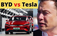 Trong khi Tesla giảm giá, các hãng xe điện Trung Quốc phải mua cả đội tàu vận tải biển để chở ô tô đi bán