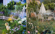 Khu vườn rực rỡ với hơn trăm chậu hoa