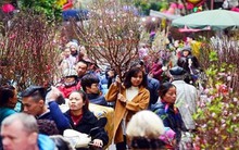 Tết Quý Mão: Yêu cầu thanh toán đầy đủ, kịp thời chế độ cho người tham gia BHXH