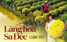 Làng hoa Sa Đéc rực rỡ đón Tết, nhiều người rục rịch lên kế hoạch đến “sống ảo” và ngắm muôn loài hoa