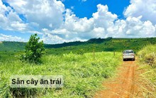 Đất vườn tỉnh có giao dịch trở lại