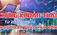 Infographic chứng khoán tuần 2-10 đến 6-10: Áp lực bán tháo vẫn còn?