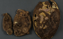 Đi quanh vườn nhà, một gia đình bất ngờ phát hiện ‘kho báu bí mật’ 1000 năm tuổi ngay dưới gốc cây