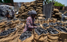 Giá rẻ kỷ lục, Việt Nam chớp “cơ hội vàng” chi hơn 1,4 tỷ USD nhập khẩu mặt hàng này từ Indonesia, sản lượng trong 8 tháng vượt cả năm 2022 cộng lại