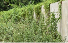 Tường rào thi công đoạn đường vành đai 2,5 gây khó cho người dân Hà Nội