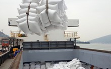 Giá gạo Việt xuất khẩu đứng đầu thế giới