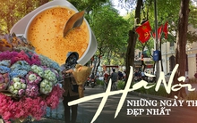 Hà Nội đang bước vào những ngày thu đẹp nhất, chỉ muốn "gói ghém" lại để không trôi qua nhanh