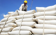 Indonesia xác nhận sẽ nhập khẩu 1,5 triệu tấn gạo từ Việt Nam và Thái Lan