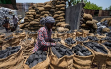 Xuất khẩu "kim cương đen" của Việt Nam lập kỷ lục trong tháng 9, sản lượng và kim ngạch tăng trưởng 3 chữ số chỉ trong 1 tháng