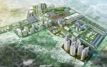 Tập đoàn Hoành Sơn: Hành trình thăng trầm từ cảng biển tới đất vàng