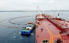 Một mặt hàng từ Hàn Quốc, Singapore đang liên tục đổ bộ vào Việt Nam: nhập khẩu tăng mạnh, giá đã tăng 4 tháng liên tiếp