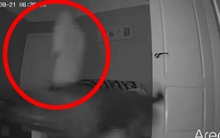 Lắp camera theo dõi thú cưng, cặp đôi phát hiện điều kỳ dị trong căn nhà cổ 135 năm tuổi