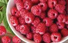 1 loại quả thuộc họ hoa hồng, là “thuốc” chống ung thư, tim mạch: Chợ Việt bán nhiều, thân, rễ, lá cũng dùng làm thuốc