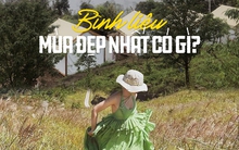 Đồi bông lau đung đưa giữa trời ở Quảng Ninh cùng trải nghiệm nghỉ dưỡng trên mây khó quên