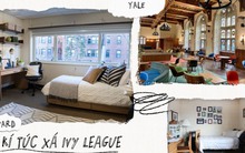 "Đột nhập" KTX những ngôi trường số 1 hành tinh: Sinh viên Ivy League có sống xịn xò như lời đồn?