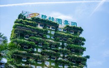 Nhà sáng lập Country Garden ‘dốc tiền túi’ 300 triệu USD và bán máy bay riêng để ‘cứu’ đế chế bất động sản