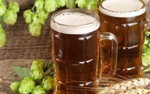 Nóng lên toàn cầu có thể gây ra tình trạng thiếu hụt bia