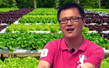 Sinh viên ưu tú ĐH Bắc Kinh bỏ việc ổn định, về quê làm 1 nghề: Cuộc sống 12 năm sau gây bất ngờ