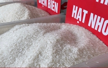 Gạo lại tăng giá liên tục, tiểu thương không dám nhập thêm hàng