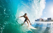 Quỹ tỷ USD do Dragon Capital quản lý trở lại trạng thái "full cổ phiếu" ngay trước nhịp hồi phục của VN-Index