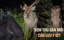 Tour đêm vào rừng xem thú hoang dã săn mồi cực ly kỳ tại VQG Cát Tiên, khách phải đặt trước cả tháng mới có chỗ