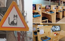 Loạt ảnh về những thứ độc lạ chỉ có tại Hàn Quốc, cho thấy đây đích thị là một thế giới hoàn toàn khác