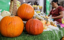 Khách lùng mua trang trí Halloween, bí ngô đủ loại cháy hàng