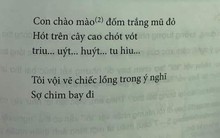 Thêm một bài thơ trong SGK lớp 6 trở thành tâm điểm tranh cãi: 'Triu… uýt… huýt… tu hìu…' là gì?