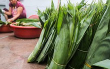 Loại lá tre đặc biệt của Việt Nam đang thành hàng hot ở nước ngoài: xuất khẩu giá đắt đỏ, thu về hàng chục tỷ đồng