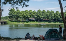 Công viên đô thị lớn nhất Việt Nam, có cả khu riêng dành cho thú cưng