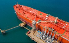 Dù báo lãi giảm gần 70% so với cùng kỳ, cổ phiếu một DN họ dầu khí vẫn tăng lên mức đỉnh lịch sử trong phiên VN-Index giảm hơn 13 điểm