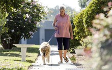 Dù tiết kiệm được bao nhiêu tiền, người về hưu cũng không nên lui tới 5 địa điểm, tránh rước họa vào thân