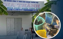 ‘Mò kim đáy bể’ tìm cơ sở sản xuất có code xuất khẩu cua Cà Mau