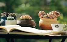 Tâm lý học: Dù nhà có lớn đến mấy cũng phải giữ 3 NƠI này sạch sẽ, gọn gàng – Lý do rất đơn giản!