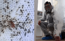 Paris giữa 'đại dịch rệp hút máu': Chủ khách sạn tốn hàng chục triệu để diệt trừ, người dân mặc đồ bảo hộ ra đường tựa cảnh phim tận thế