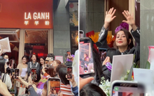 Dân mạng Trung Quốc bày tỏ sự yêu thích phở Việt, có người còn mong Chi Pu nhanh mở thêm chi nhánh