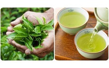 Nước chè xanh rất tốt nhưng lại 'đại kỵ' với 7 nhóm người này