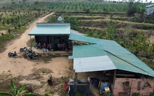 Hy hữu: Đất rẫy Tây Nguyên đã xuất hiện tình trạng “cọc sỉ” hàng chục lô