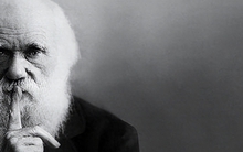 Tâm lý học: Xin chúc mừng những người ít nói vì 3 LÝ DO sau, làm việc gì cũng thành, được mọi người kính nể!