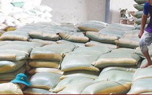 170 thương nhân đủ điều kiện kinh doanh xuất khẩu gạo