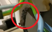 Phát hiện mùi cá tanh trong nhà, người phụ nữ gọi thợ điện đến kiểm tra, ngăn chặn 1 thảm họa