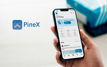 Miễn phí giao dịch, Chứng khoán Pinetree báo lãi 9 tháng tăng trưởng 76%