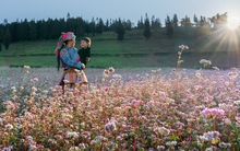 Chi phí đi thảo nguyên Suôi Thầu ngắm vẻ đẹp "3 phần hoang sơ, 7 phần thơ mộng" ở Hà Giang