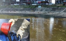 Cận cảnh hồ Linh Đàm bị nhuộm đen bởi dầu thải