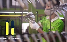 Lỗ liên tục, DN FDI sản xuất dụng cụ làm vườn Ngũ Kim Fortress bị cổ đông đòi giải trình về 200 tỷ hàng tồn kho bỗng nhiên bị trích lập dự phòng