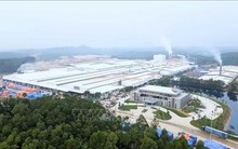 Việt Nam nằm trong danh sách được Đức dành ưu đãi bảo lãnh đầu tư